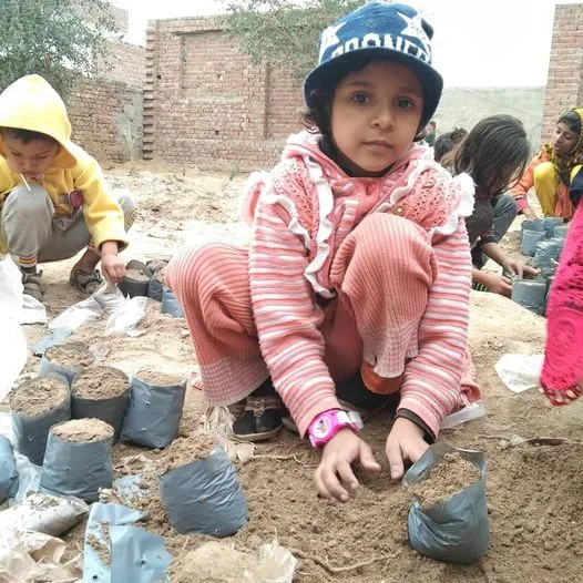 Green Seekers Activity